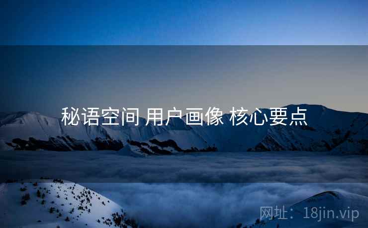 秘语空间 用户画像 核心要点