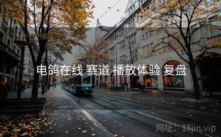电鸽在线 赛道 播放体验 复盘