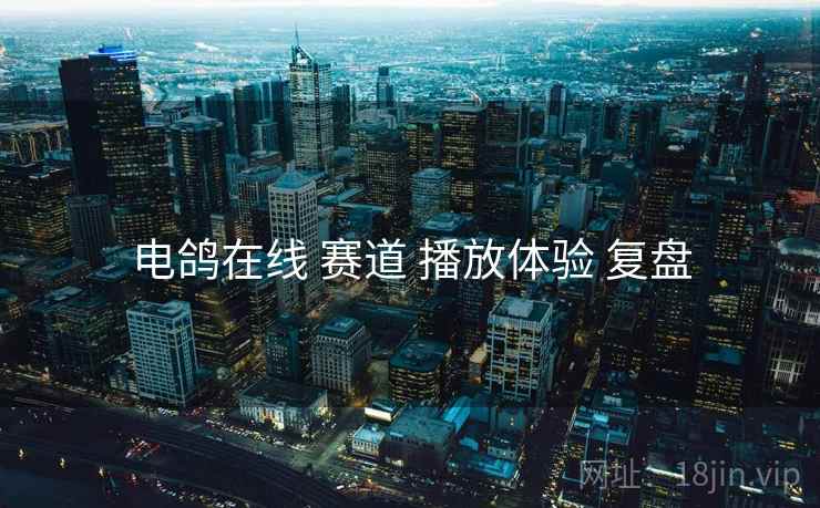 电鸽在线 赛道 播放体验 复盘