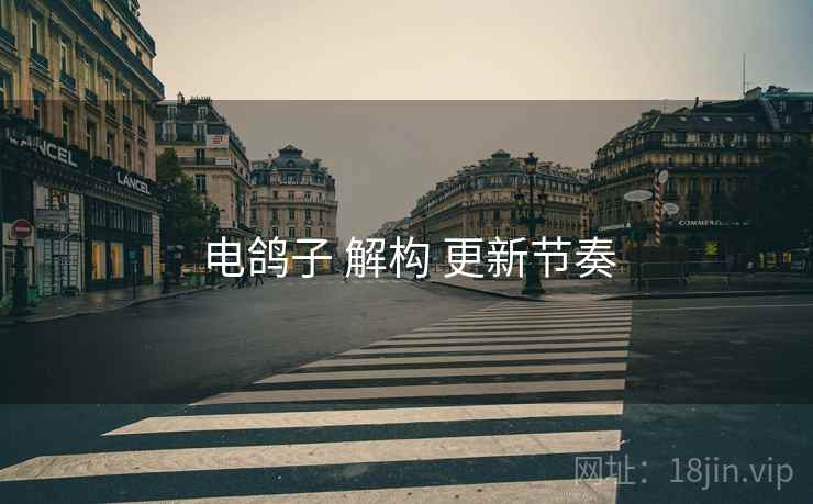 电鸽子 解构 更新节奏