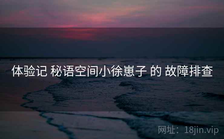 体验记 秘语空间小徐崽子 的 故障排查