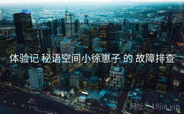 体验记 秘语空间小徐崽子 的 故障排查