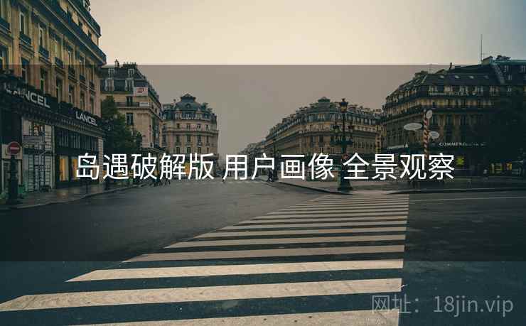 岛遇破解版 用户画像 全景观察