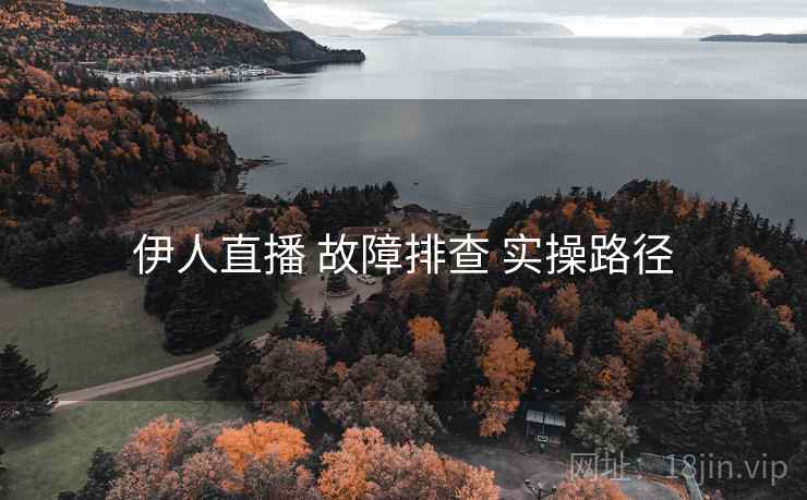 伊人直播 故障排查 实操路径