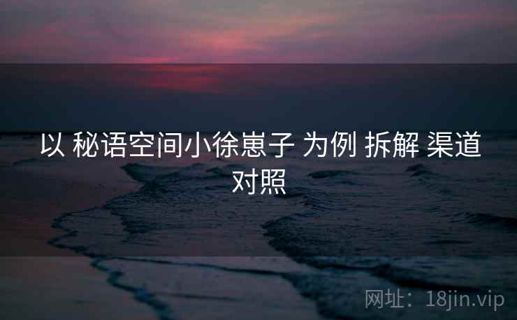 以 秘语空间小徐崽子 为例 拆解 渠道对照