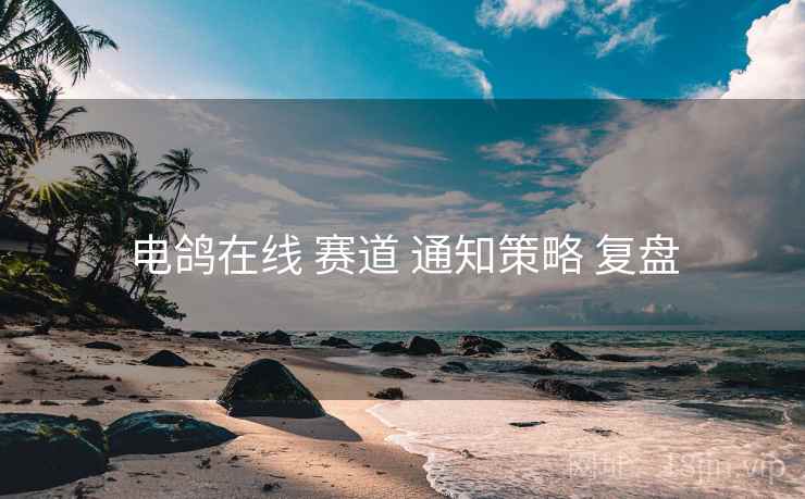 电鸽在线 赛道 通知策略 复盘