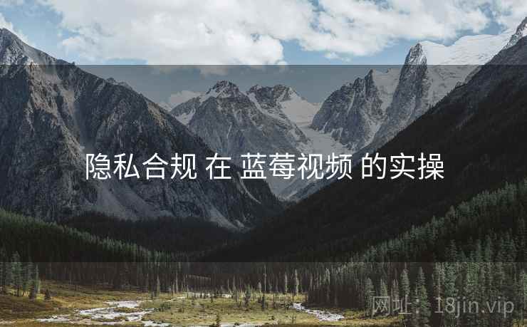 隐私合规 在 蓝莓视频 的实操