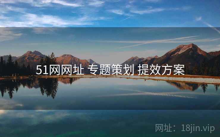 51网网址 专题策划 提效方案
