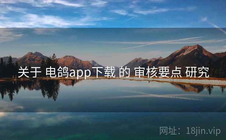 关于 电鸽app下载 的 审核要点 研究