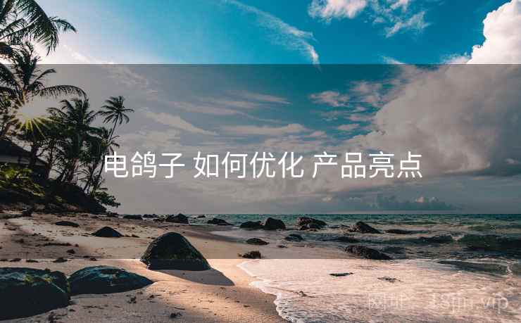 电鸽子 如何优化 产品亮点