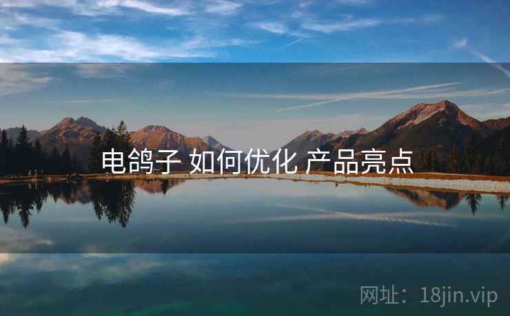 电鸽子 如何优化 产品亮点
