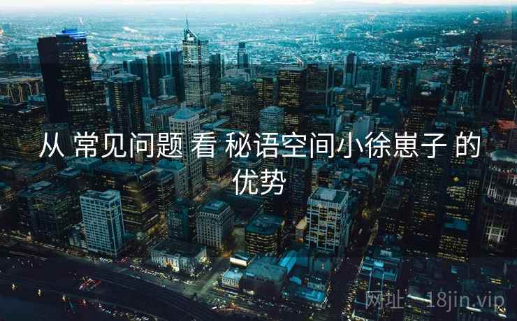 从 常见问题 看 秘语空间小徐崽子 的优势