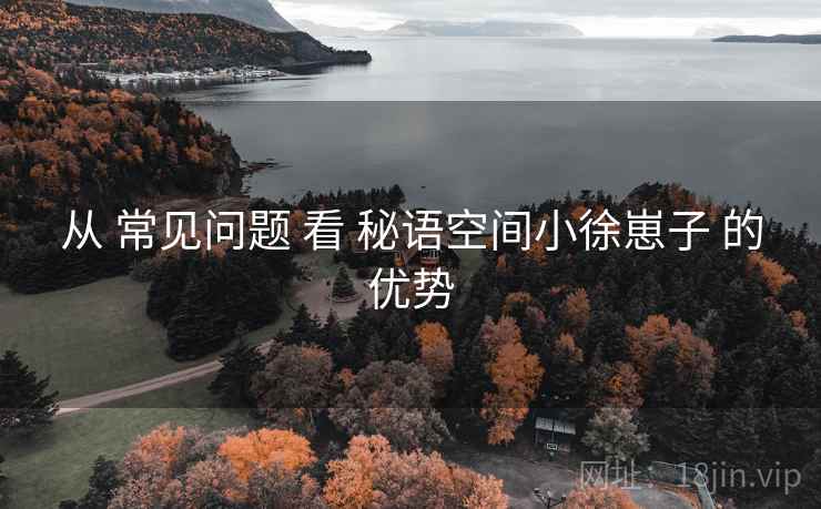 从 常见问题 看 秘语空间小徐崽子 的优势