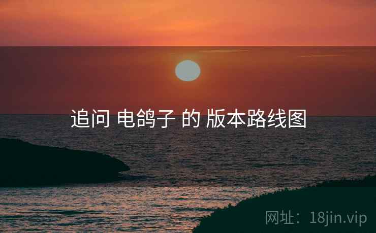 追问 电鸽子 的 版本路线图