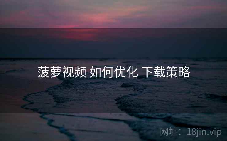菠萝视频 如何优化 下载策略