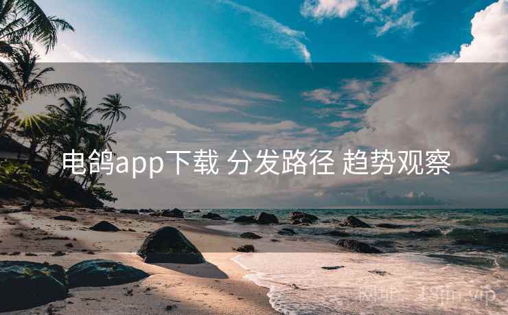 电鸽app下载 分发路径 趋势观察