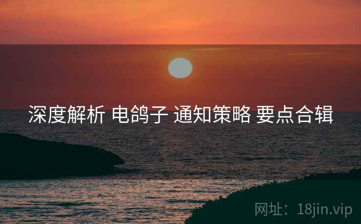 深度解析 电鸽子 通知策略 要点合辑