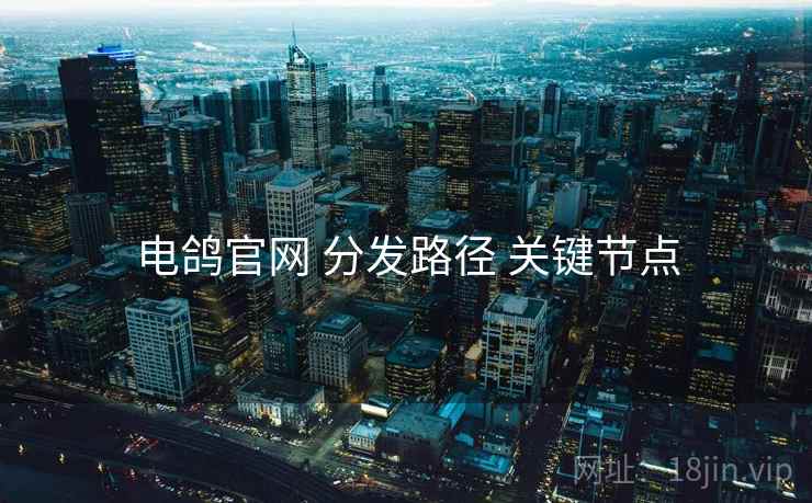 电鸽官网 分发路径 关键节点