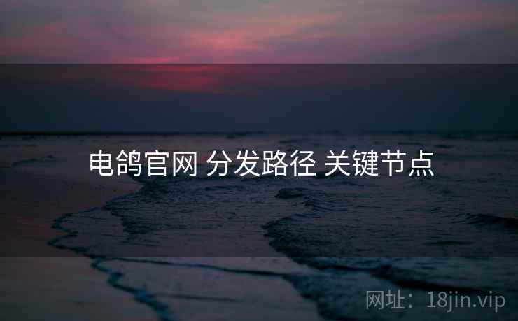电鸽官网 分发路径 关键节点
