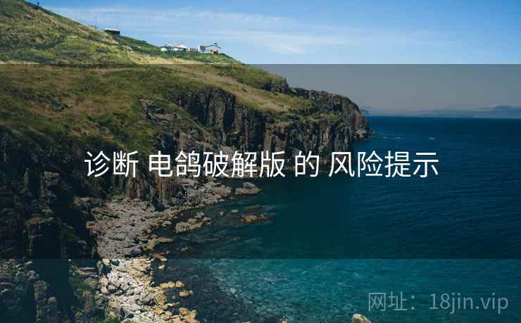 诊断 电鸽破解版 的 风险提示