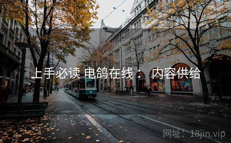 上手必读 电鸽在线 ： 内容供给