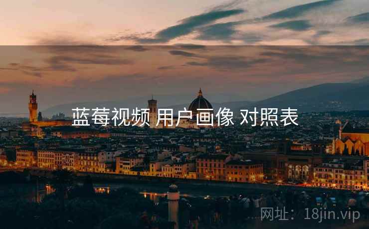 蓝莓视频 用户画像 对照表