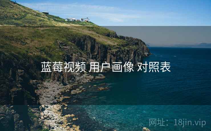 蓝莓视频 用户画像 对照表