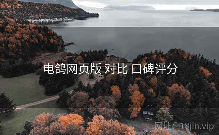 电鸽网页版 对比 口碑评分