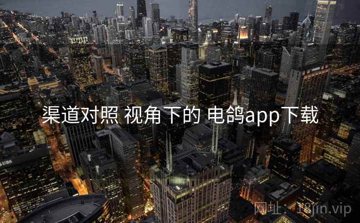 渠道对照 视角下的 电鸽app下载