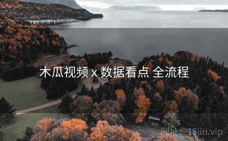 木瓜视频 x 数据看点 全流程