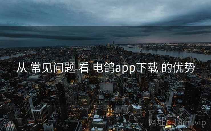 从 常见问题 看 电鸽app下载 的优势
