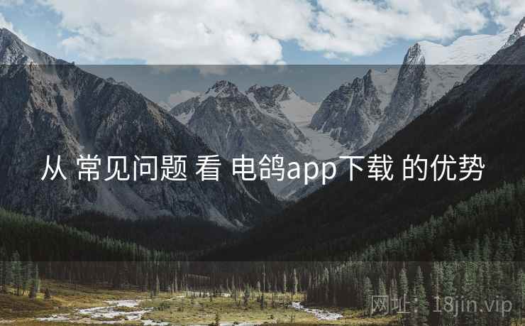 从 常见问题 看 电鸽app下载 的优势