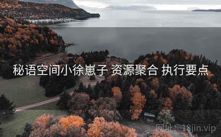 秘语空间小徐崽子 资源聚合 执行要点