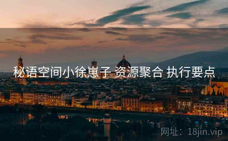 秘语空间小徐崽子 资源聚合 执行要点