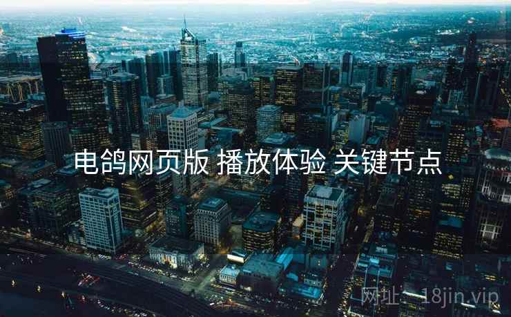 电鸽网页版 播放体验 关键节点