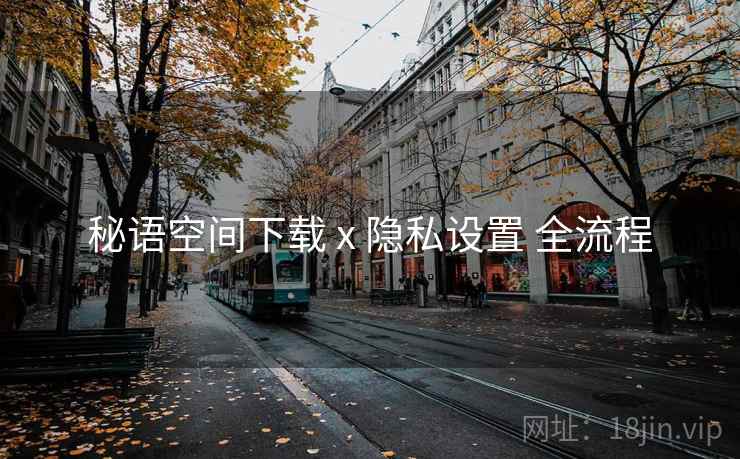 秘语空间下载 x 隐私设置 全流程