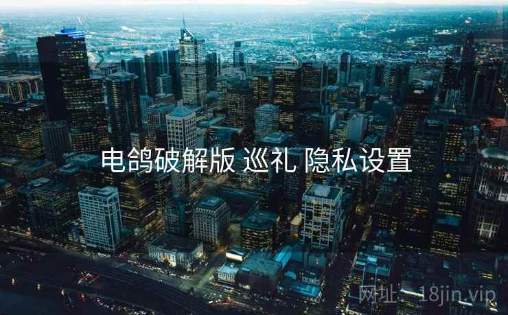 电鸽破解版 巡礼 隐私设置