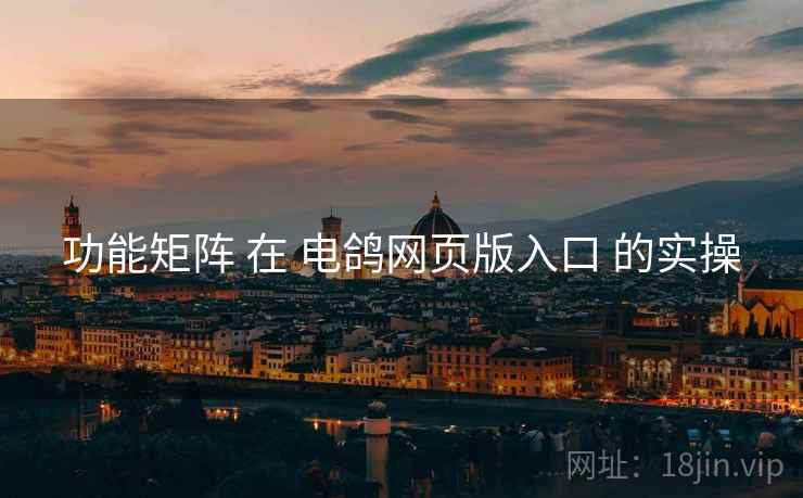 功能矩阵 在 电鸽网页版入口 的实操