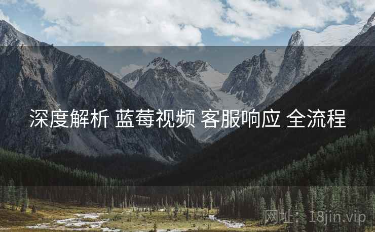 深度解析 蓝莓视频 客服响应 全流程