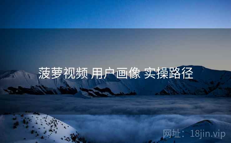 菠萝视频 用户画像 实操路径