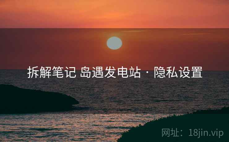 拆解笔记 岛遇发电站 · 隐私设置