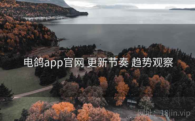 电鸽app官网 更新节奏 趋势观察
